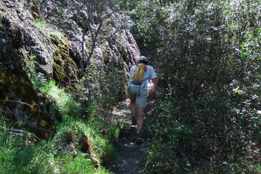 North Peak Trail gets steep and narrow.