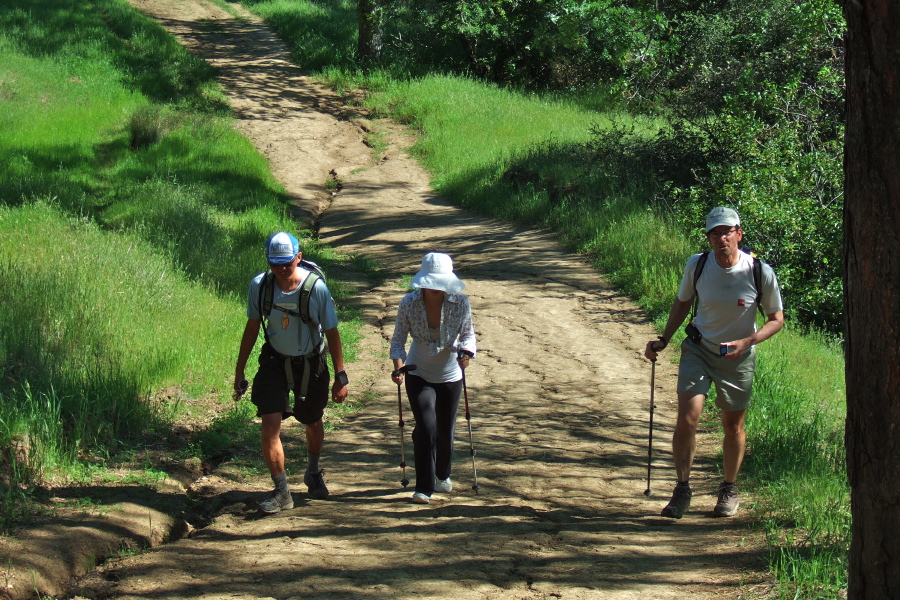 Climbing the first steep uphill pitch on the hike.