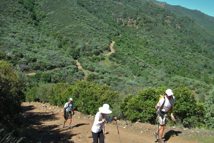 We climb the steep switchbacks on Cardinet Oaks Road above Donner Creek.
