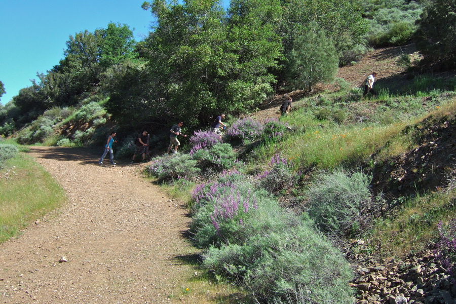 Another group of hikers takes the Falls Trail.