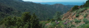 View toward Eagle Peak and down the trail