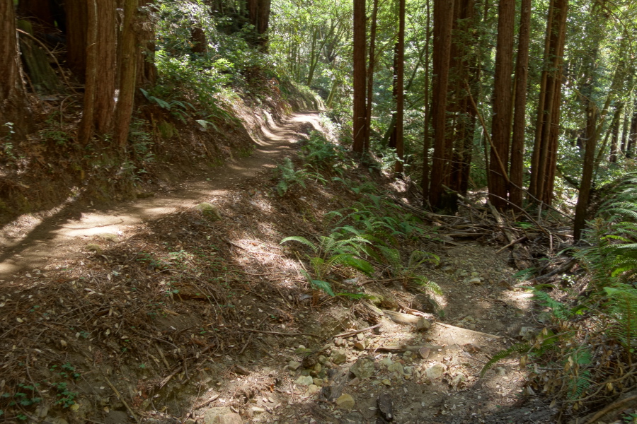 Dry stream along the Bayview Trail