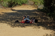 Man rests on trail with dog