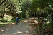 Ron descends the Merry Go Round Trail into a shaded canyon.