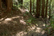 Dry stream along the Bayview Trail