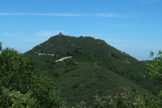 Mt. Tamalpais East Peak (2571ft)