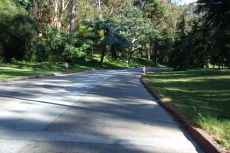 MLK Drive in Golden Gate Park