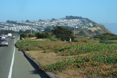 Little boxes on the hillside