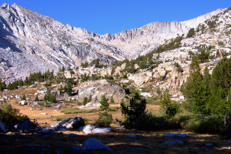 Looking up the Hall Reserve valley.
