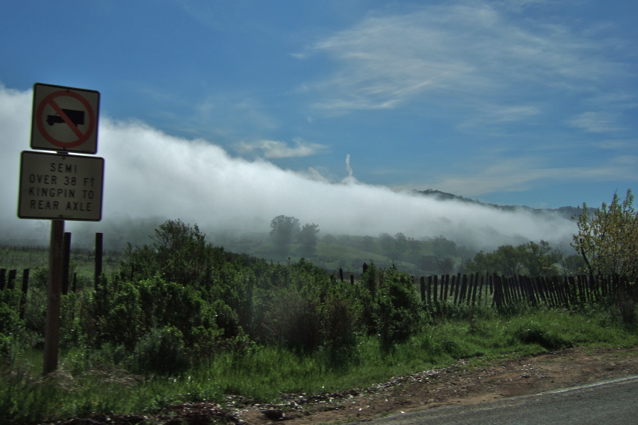 A finger of fog streams through Halls Valley.