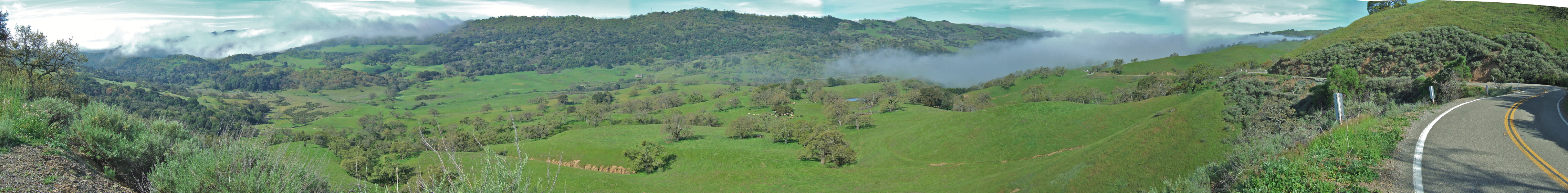 Fingers of fog over Halls Valley