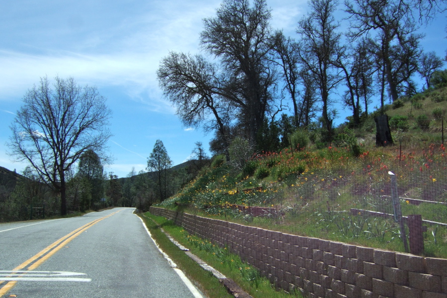 Passing the Arnold Ranch