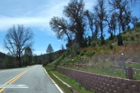 Passing the Arnold Ranch