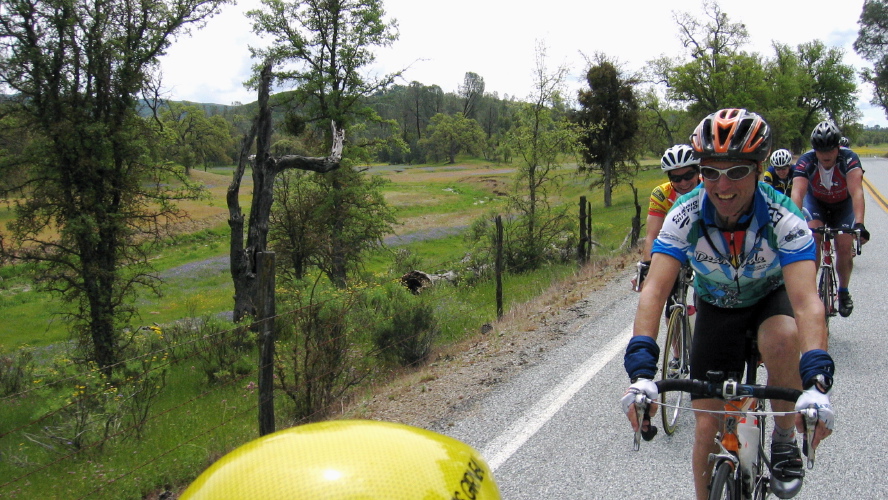 Playing hare to a bunch of greyhounds. (1)