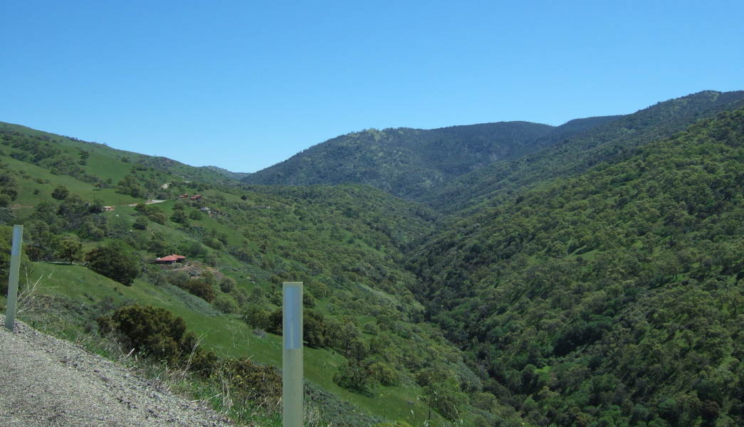 Looking south up Arroyo Mocho