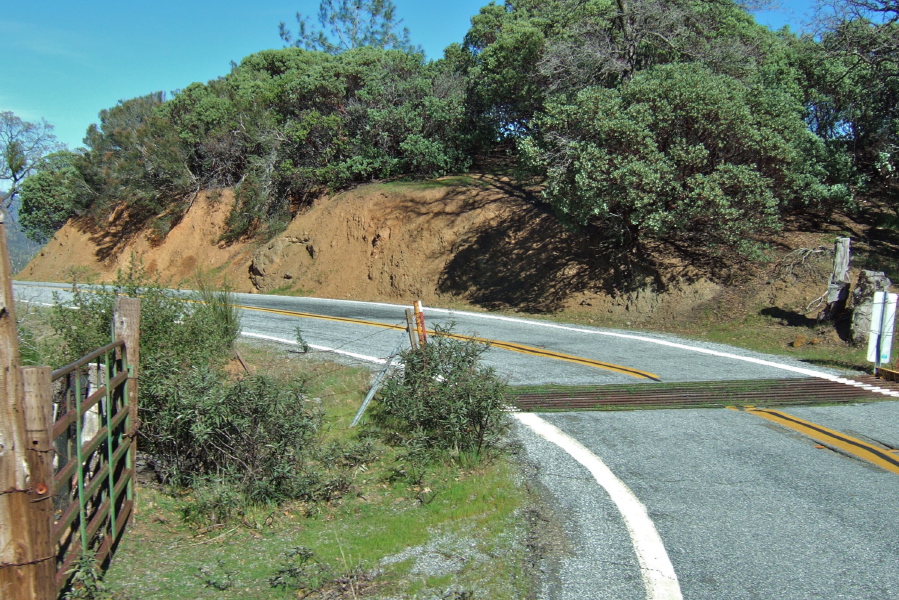 Cattle grate halfway up final climb (2)