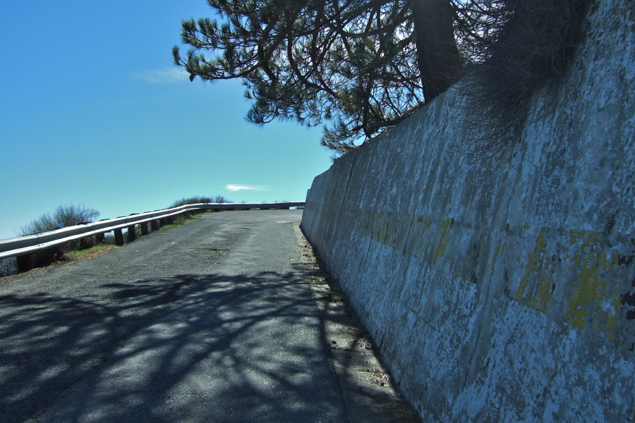 Climbing the last bit to the summit of Mt. Hamilton (4210ft)