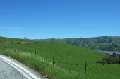 Lots of green grass near Calaveras Reservoir