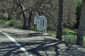 The White Mailbox on Mines Rd.