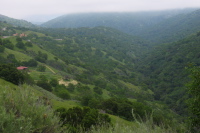 Looking up Arroyo Mocho from Mines Rd. (1500ft)