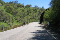 Mt. Hamilton Challenge riders on Mines Rd. (2080ft)