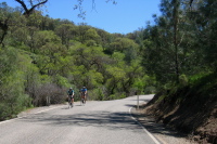 More Mt. Hamilton Challenge riders on Mines Rd. (2120ft)
