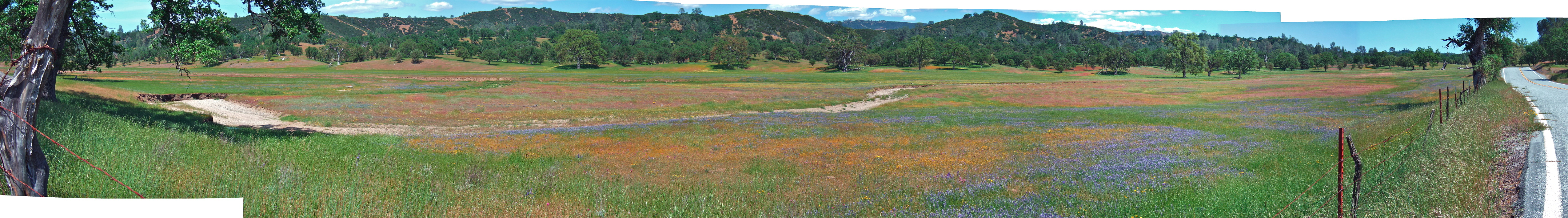 San Antonio Valley Panorama (2).