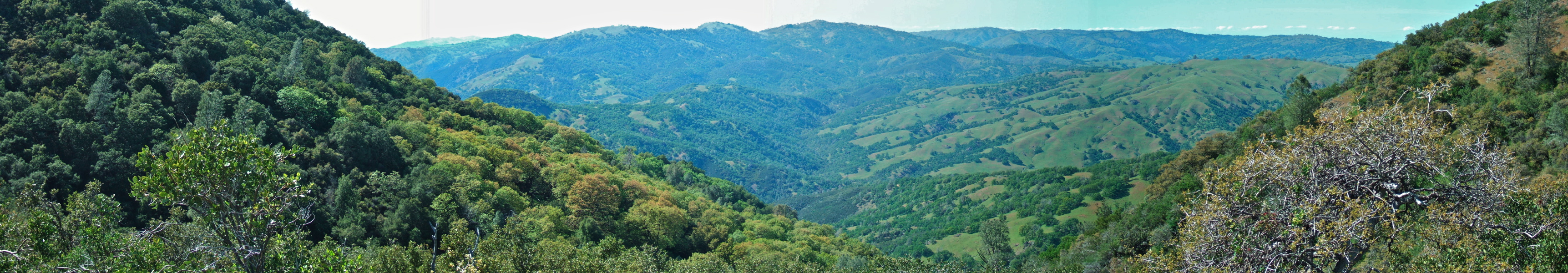 Bonita Creek Panorama.