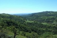 View toward San Felipe Valley