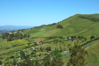 View back down Mt. Hamilton Rd.