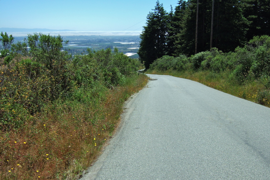 Climbing Mt. Madonna Rd. (2)