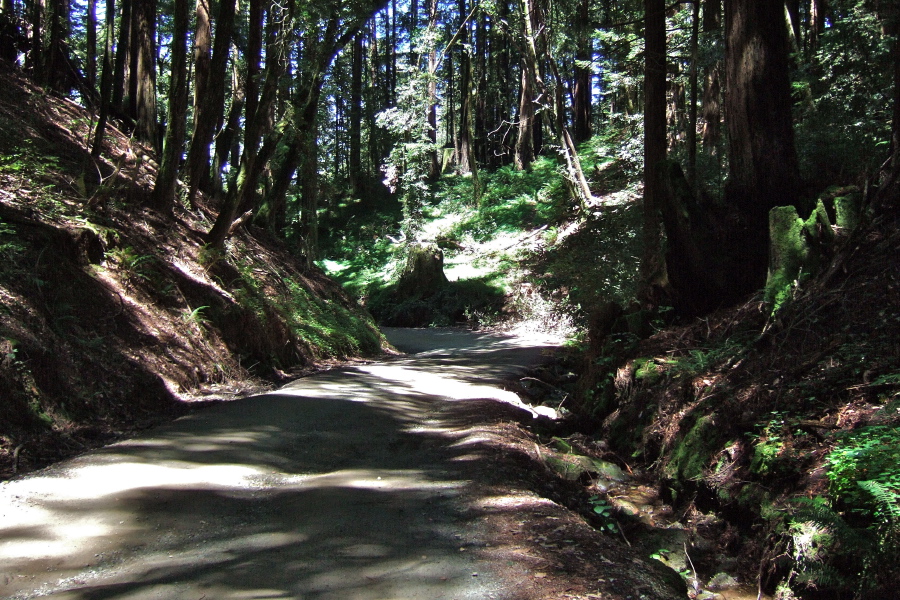 Descending the uppermost section of Mt. Madonna Road (east)