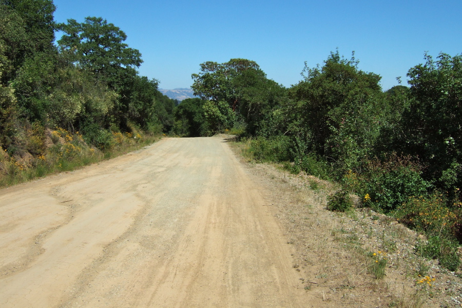 Descending the middle part of Mt. Madonna Rd. (east)