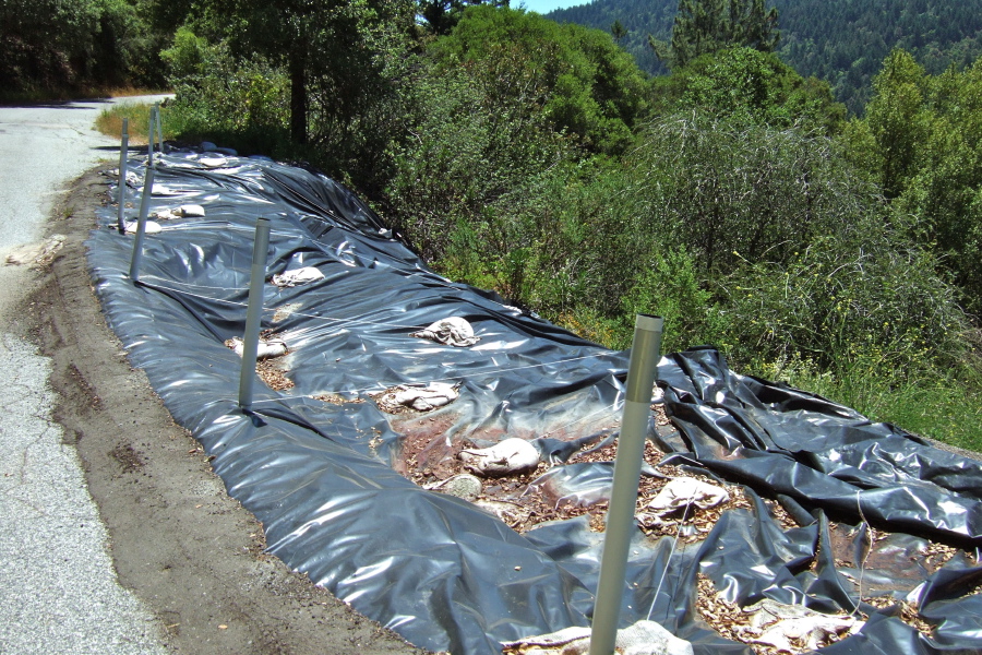 A black tarp appears to be the preferred low-budget 