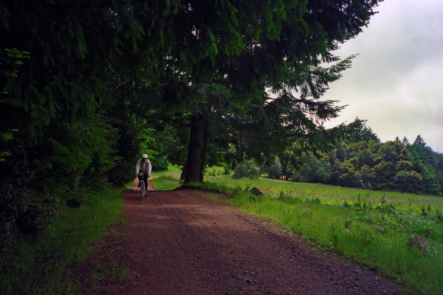 Bill rides down Rock Creek Trail near Potrero Meadow.