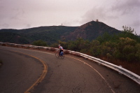Stella on Mt. Umunhum Rd.