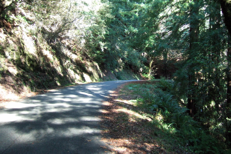 Climbing Fairfax-Bolinas Rd. from CA1 to Ridgecrest.