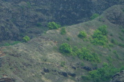 Hiker on Kalalau Trail