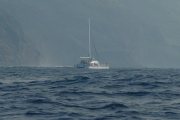 Another tour boat is heading back to port.