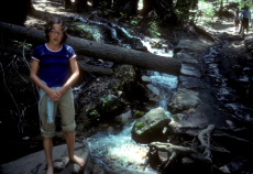 Laura wants to go wading in the cold creek.