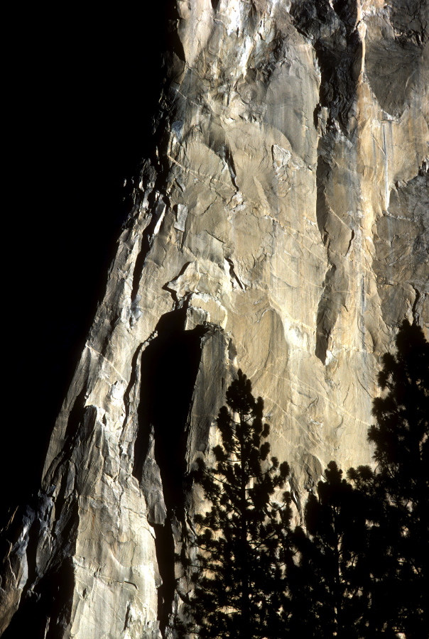 El Capitan nose