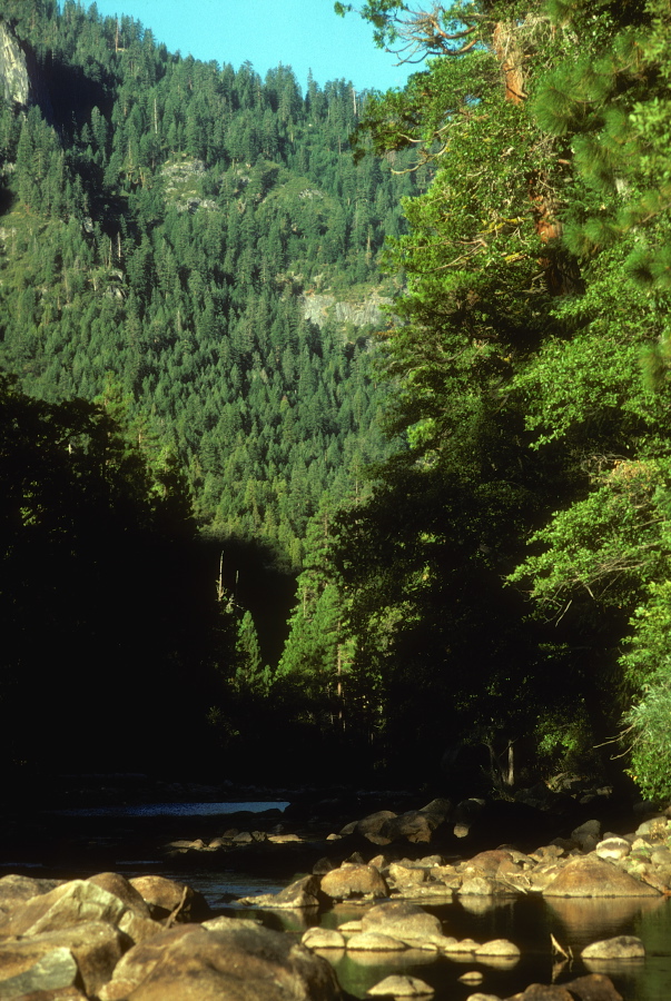 Morning on the Merced River