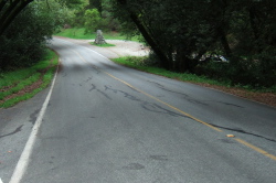 View down South Park Drive