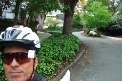 Descending Montrose Road