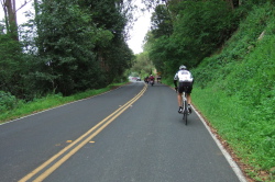 Heading east on Wildcat Canyon Road through Tilden Park
