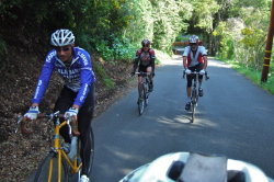 Riders climb El Toyanal.