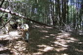 The Basin Trail Easement doesn't get much traffic (or maintenance).