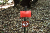 One of the occasional signs guiding the way.