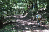 David hikes up a short hill in the mostly-downhill direction on North Butano Ridge