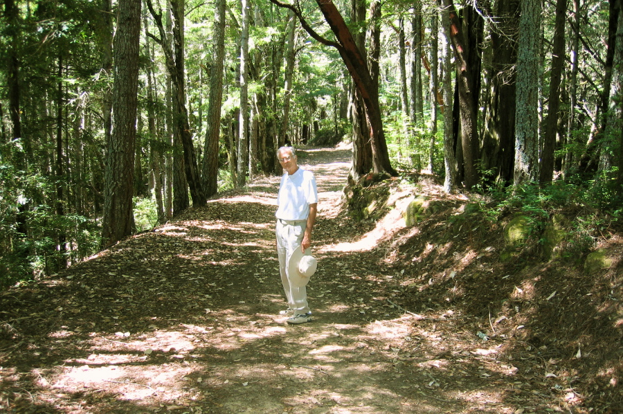 David on Butano Ridge Rd. (1860ft)